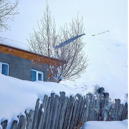 Guest House Data Ushguli Exterior foto